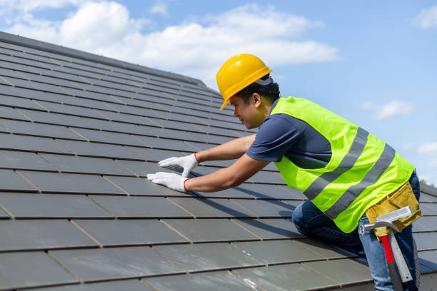 Best Metal Roofing Contractor  in Elgin, IL